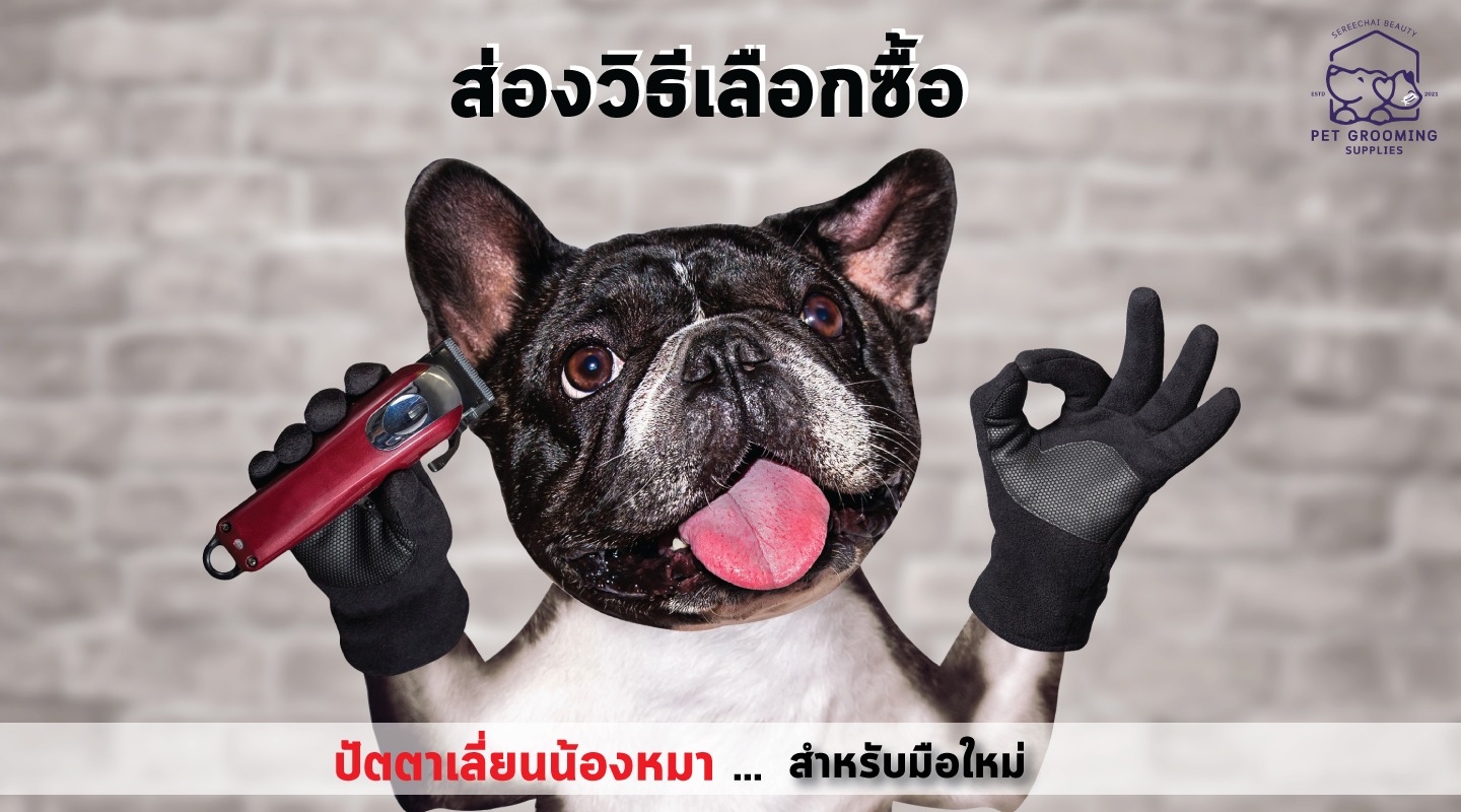 ส่องวิธีเลือกซื้อปัตตาเลี่ยนน้องหมา ... สำหรับมือใหม่