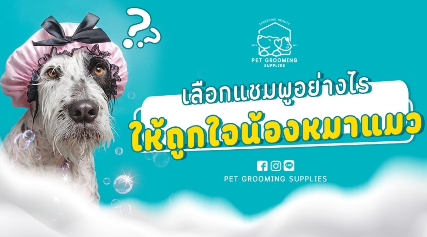 เลือกแชมพูอย่างไรให้ถูกใจน้องหมาแมว