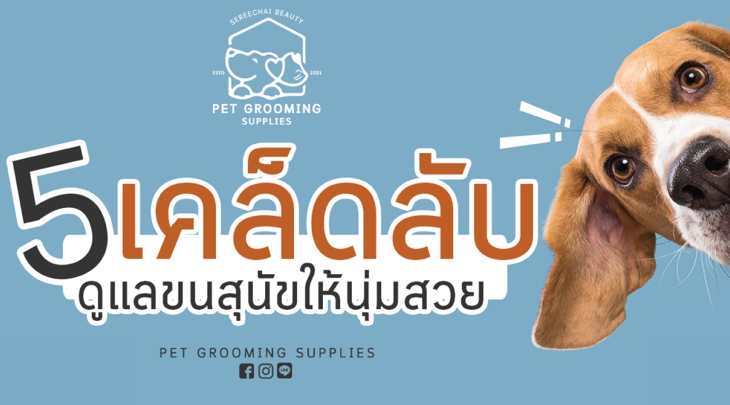5 เคล็ดลับ ... ดูแลขนสุนัขให้นุ่มสวย