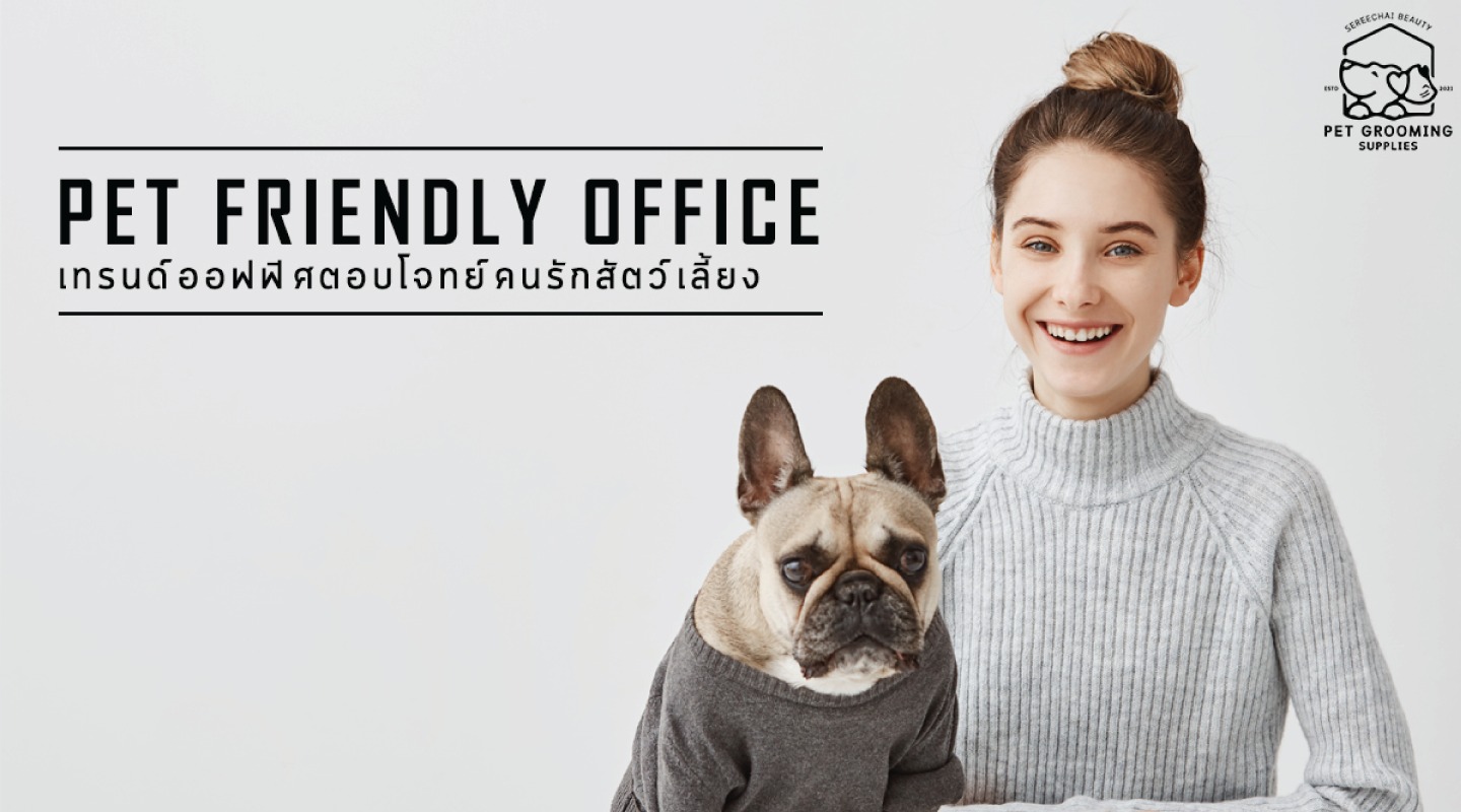 Pet Friendly Office เทรนด์ออฟฟิศตอบโจทย์คนรักสัตว์เลี้ยง