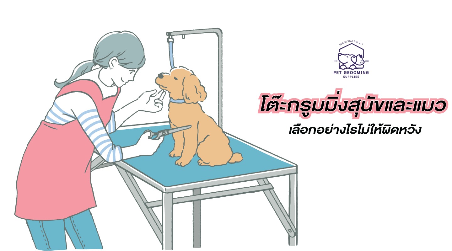 โต๊ะกรูมมิ่งสุนัขและแมว เลือกอย่างไรไม่ให้ผิดหวัง