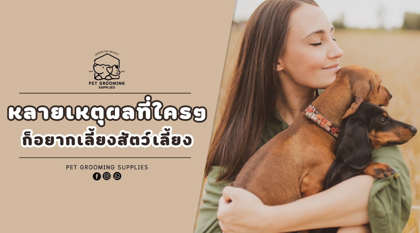 หลายเหตุผลที่ใครๆ ก็อยากเลี้ยงสัตว์เลี้ยง