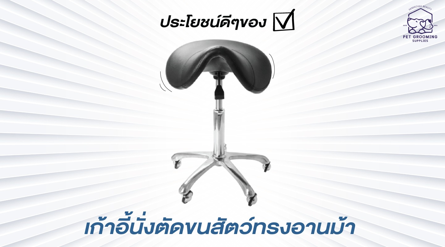 ประโยชน์ดีๆ ของเก้าอี้นั่งตัดขนสัตว์ทรงอานม้า