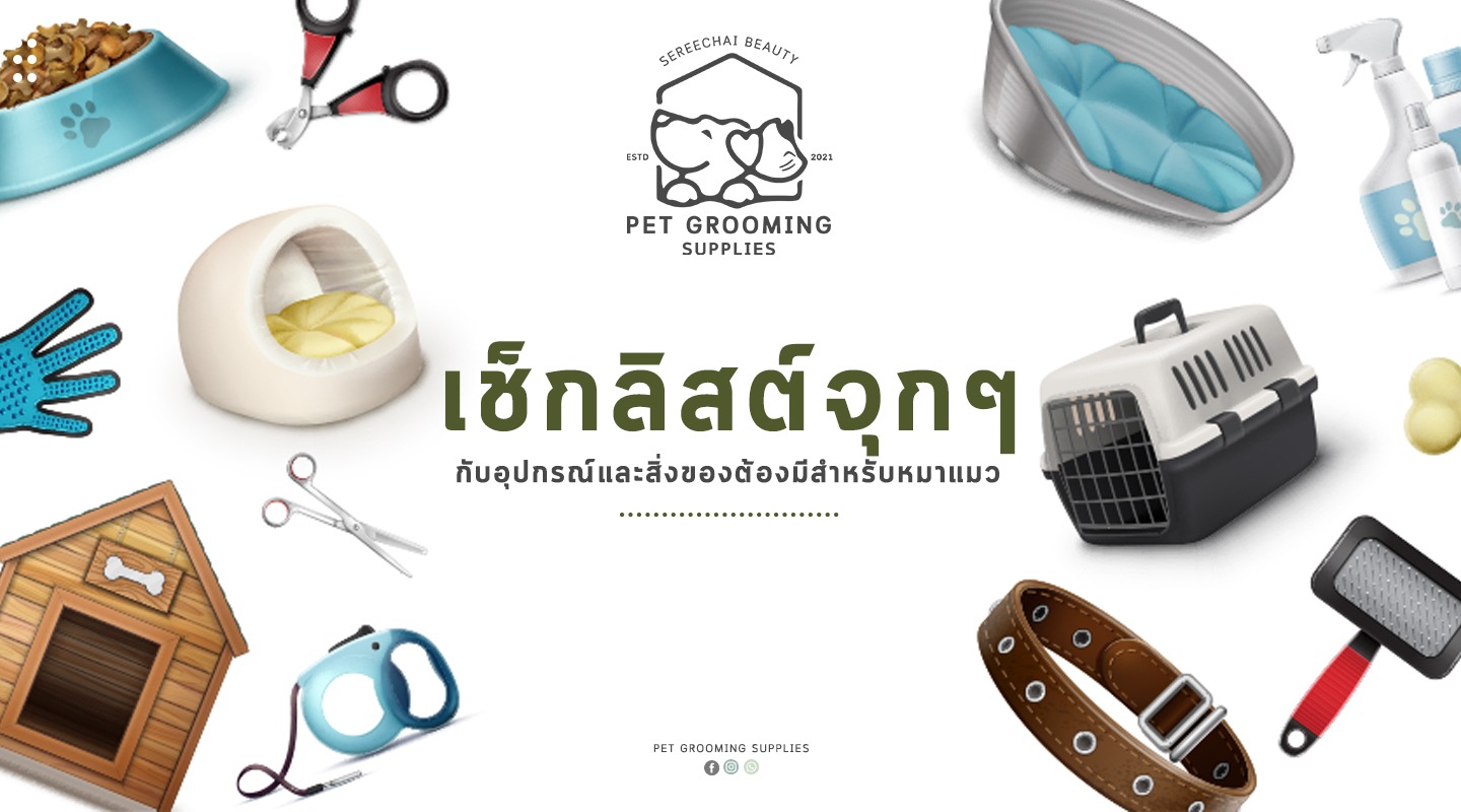 เช็กลิสต์จุกๆ กับอุปกรณ์และสิ่งของต้องมีสำหรับหมาแมว