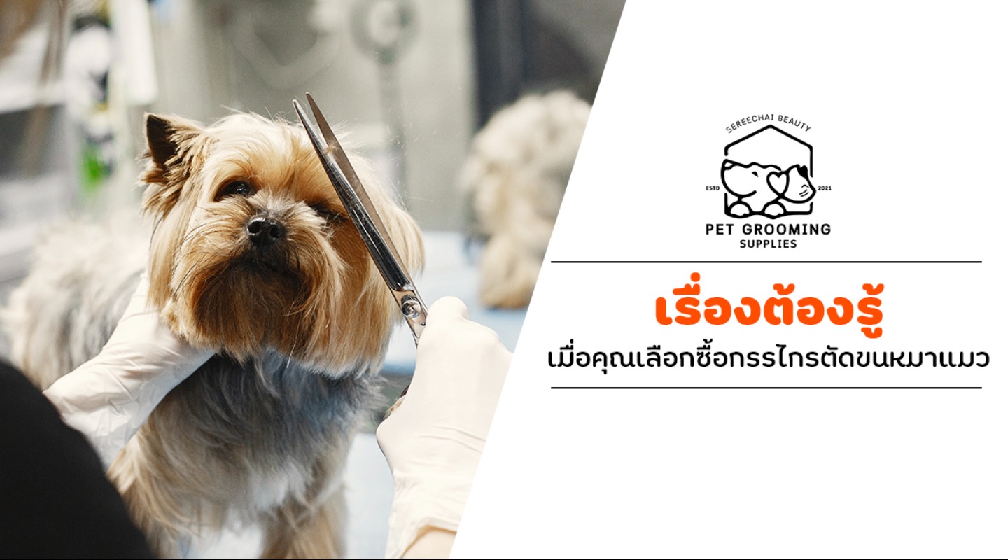 เรื่องต้องรู้เมื่อคุณเลือกซื้อกรรไกรตัดขนหมาแมว