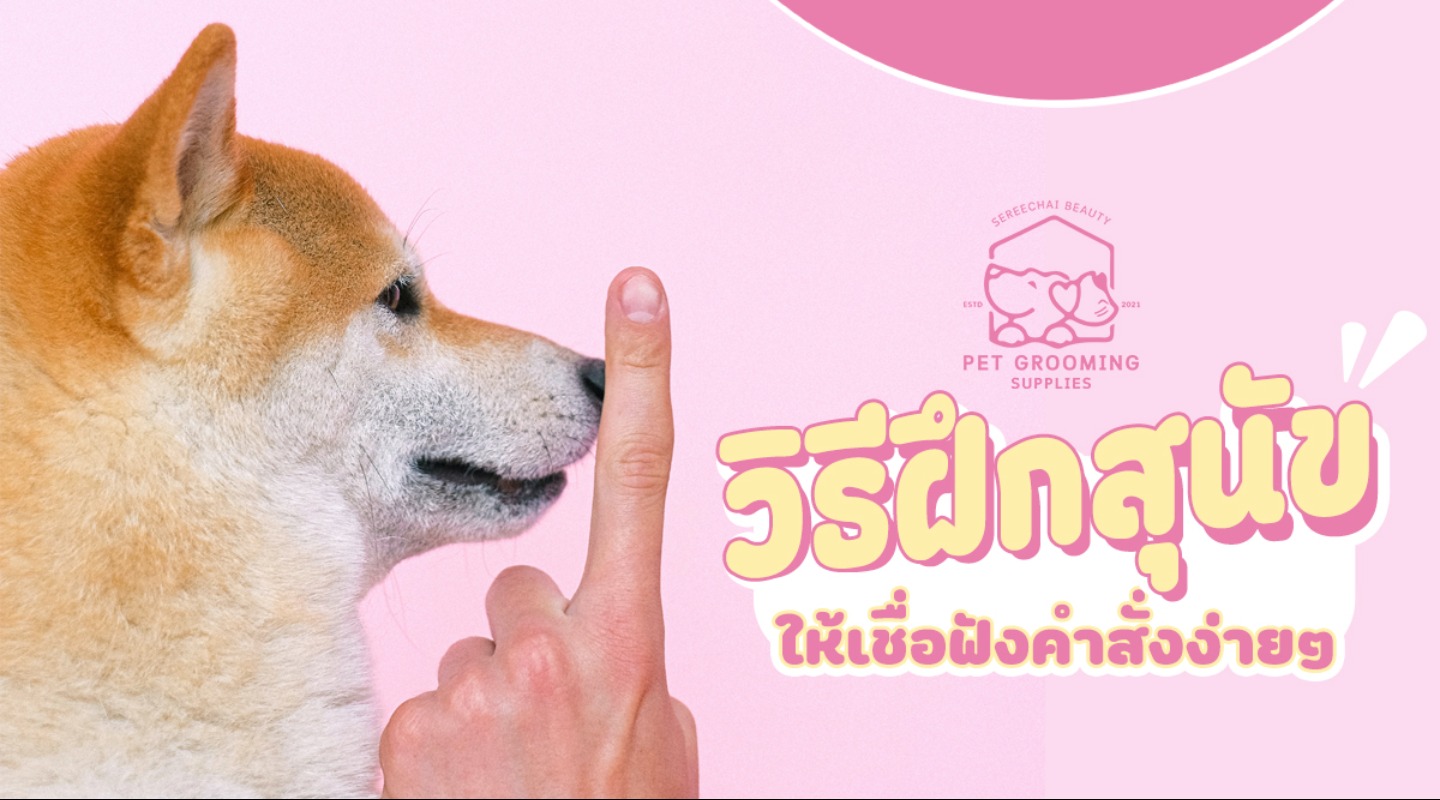 ฝึกสุนัขให้เชื่อฟังคำสั่งง่ายๆ