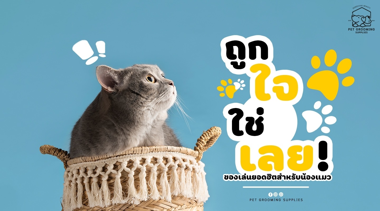 ถูกใจใช่เลย! ของเล่นยอดฮิตสำหรับน้องแมว