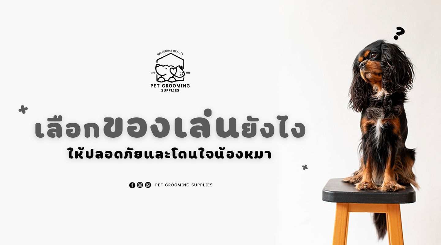 เลือกของเล่นยังไงให้ปลอดภัยและโดนใจน้องหมา