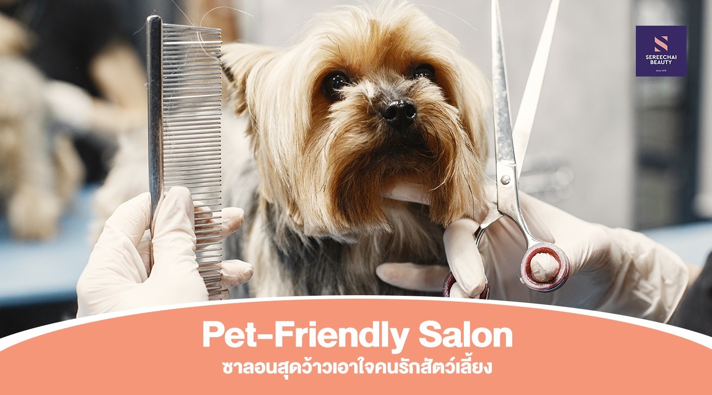 Pet-Friendly Salon ซาลอนสุดว้าวเอาใจคนรักสัตว์เลี้ยง