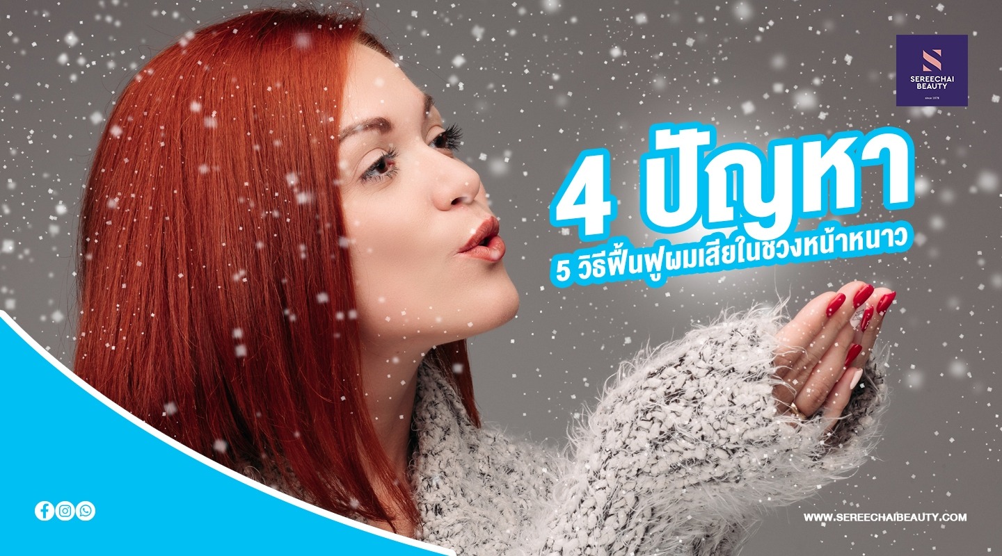 4 ปัญหา 5 วิธีฟื้นฟูผมเสียในช่วงหน้าหนาว 